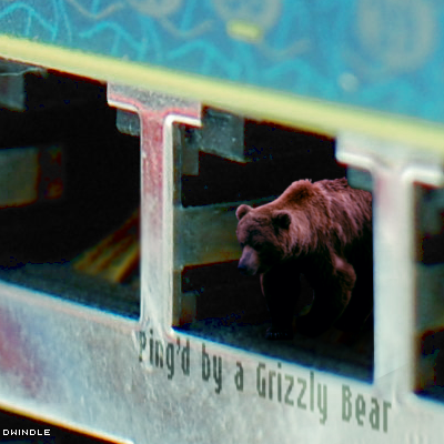 Ping'd by a Grizzly Bear album cover