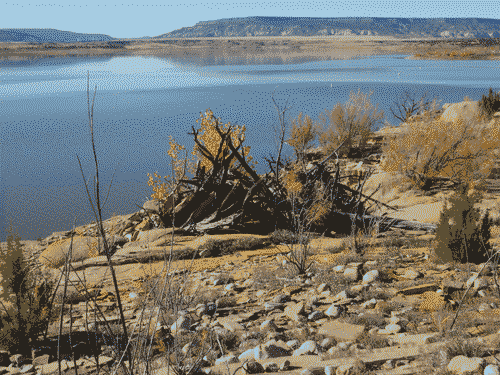 Awesome little stick shelter on the rocks at Abiquiu Lake