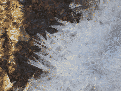 Ice fractals on the stream at Grasshopper Canyon