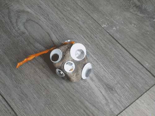 Pet rock on a laminate floor, with many eyes and an orange feather glued to it