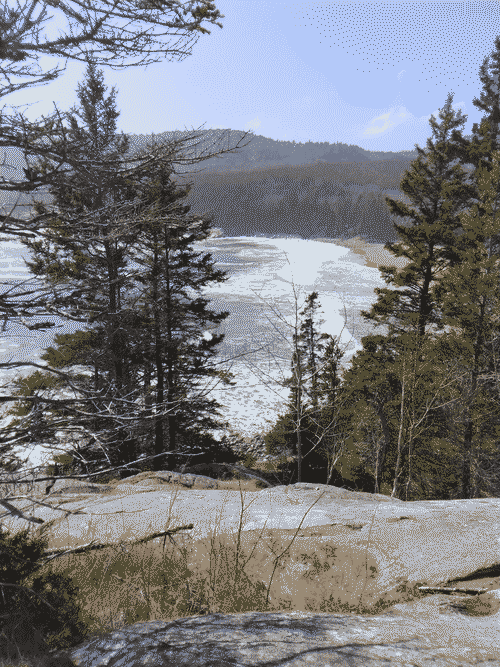 View across Sand Beach from Great Head, on Mount Dessert Island: rocky vantage point through pines across the rough water and the mixed rock/sand shore