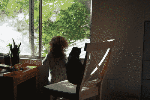 My son Zia and our cat Patches looking out the kitchen window together
