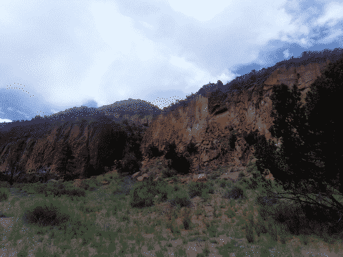 Lush grass and conifers against the stark mountainside of Bandelier