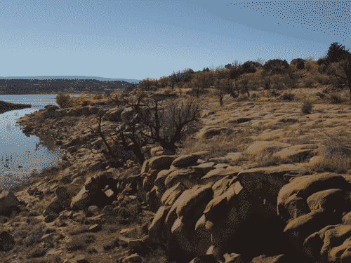 Rocky shore at Abiquiu Lake with barren trees sticking out of the stark rocks and the silver water below