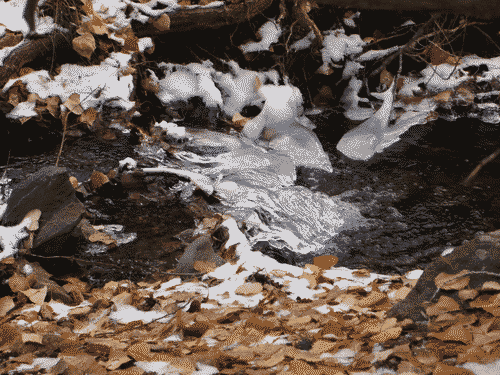 Frozen rapids on Little Teseque Creek.