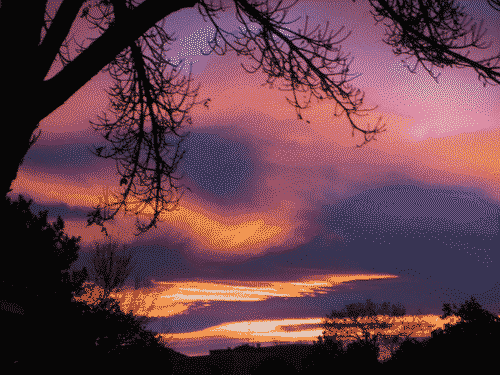 December sunrise through the clouds, framed by the barren trees