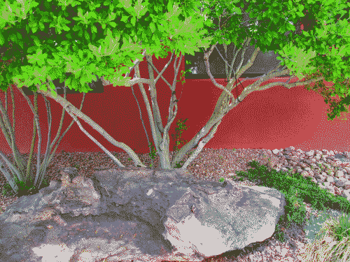 Bright green leaves in front of a red wall, branches converging to the rock garden below