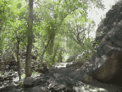 Riverside path between the trees and rocks at Nambe Falls