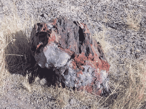 Red smokey quartz in a chunk of petrified wood