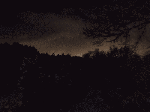 Treeline between the arroyo and the highway in the dead of night