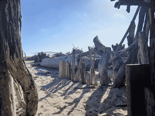 Sandy beach, driftwood city