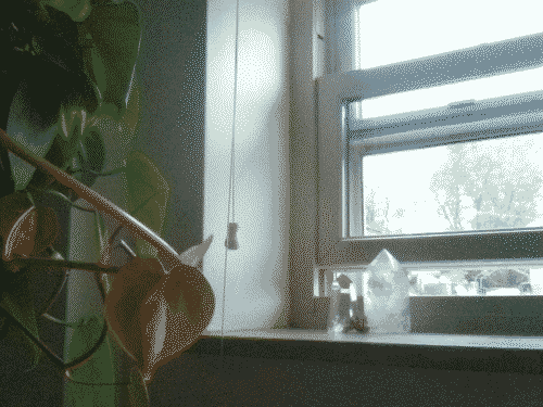 Milford Airbnb windowsil with crystals, coral, and hanging plants