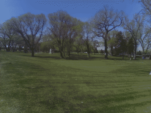 View of trees across the grass in a Nebraska rest stop